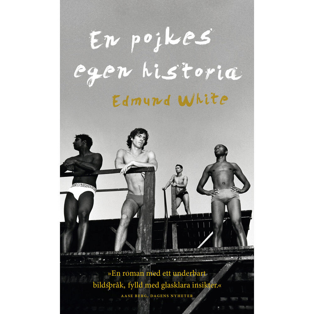 Edmund White En pojkes egen historia (pocket)