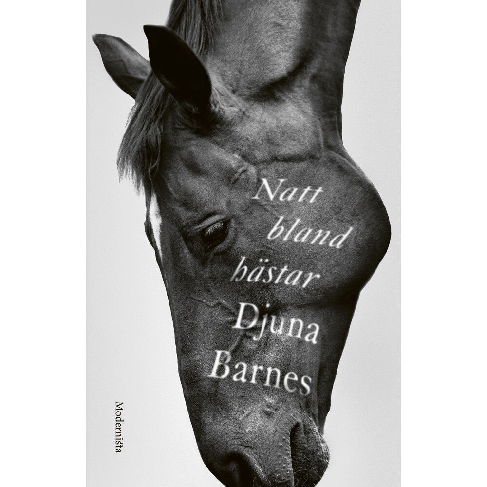 Djuna Barnes Natt bland hästar (inbunden)