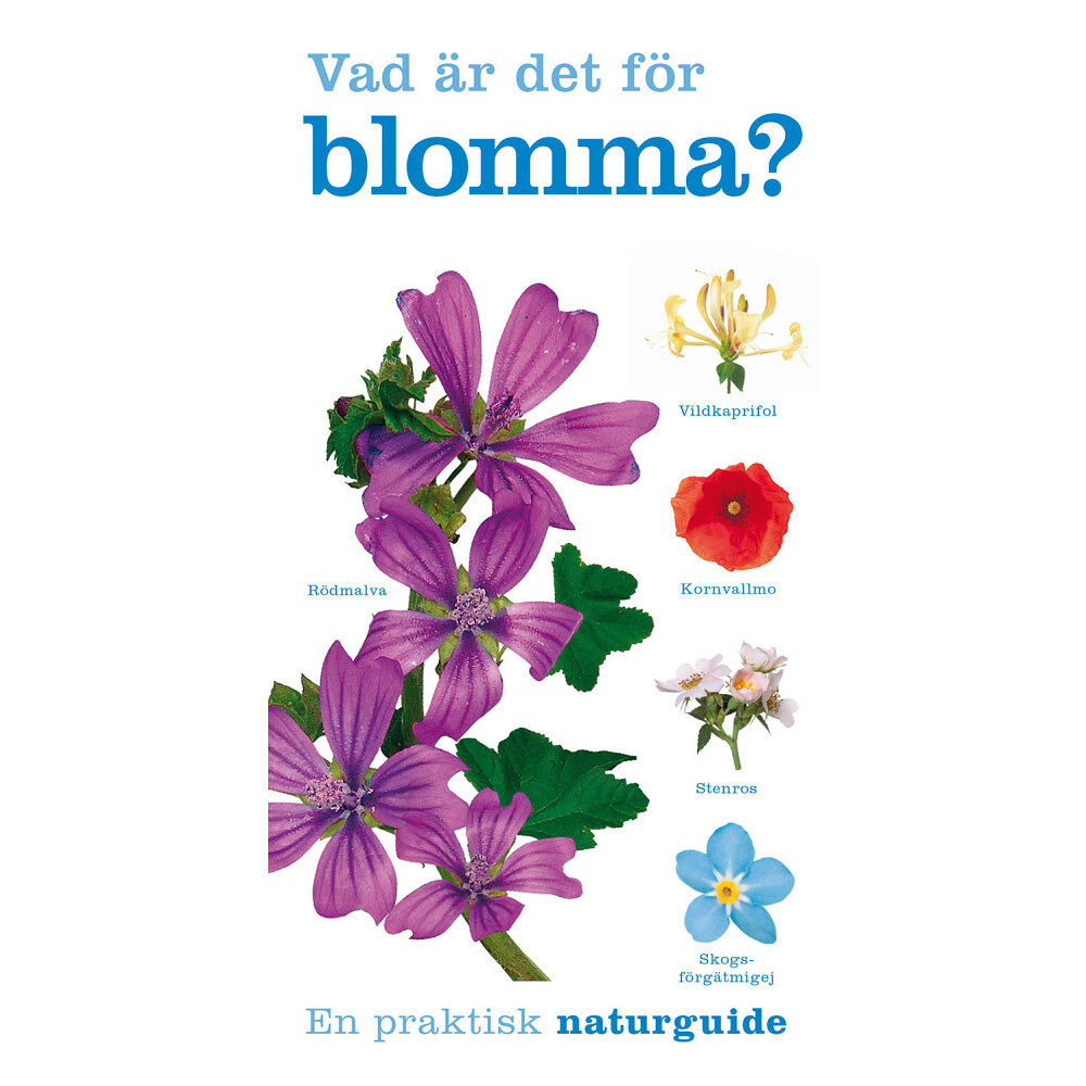 David Burnie Vad är det för blomma? (häftad)