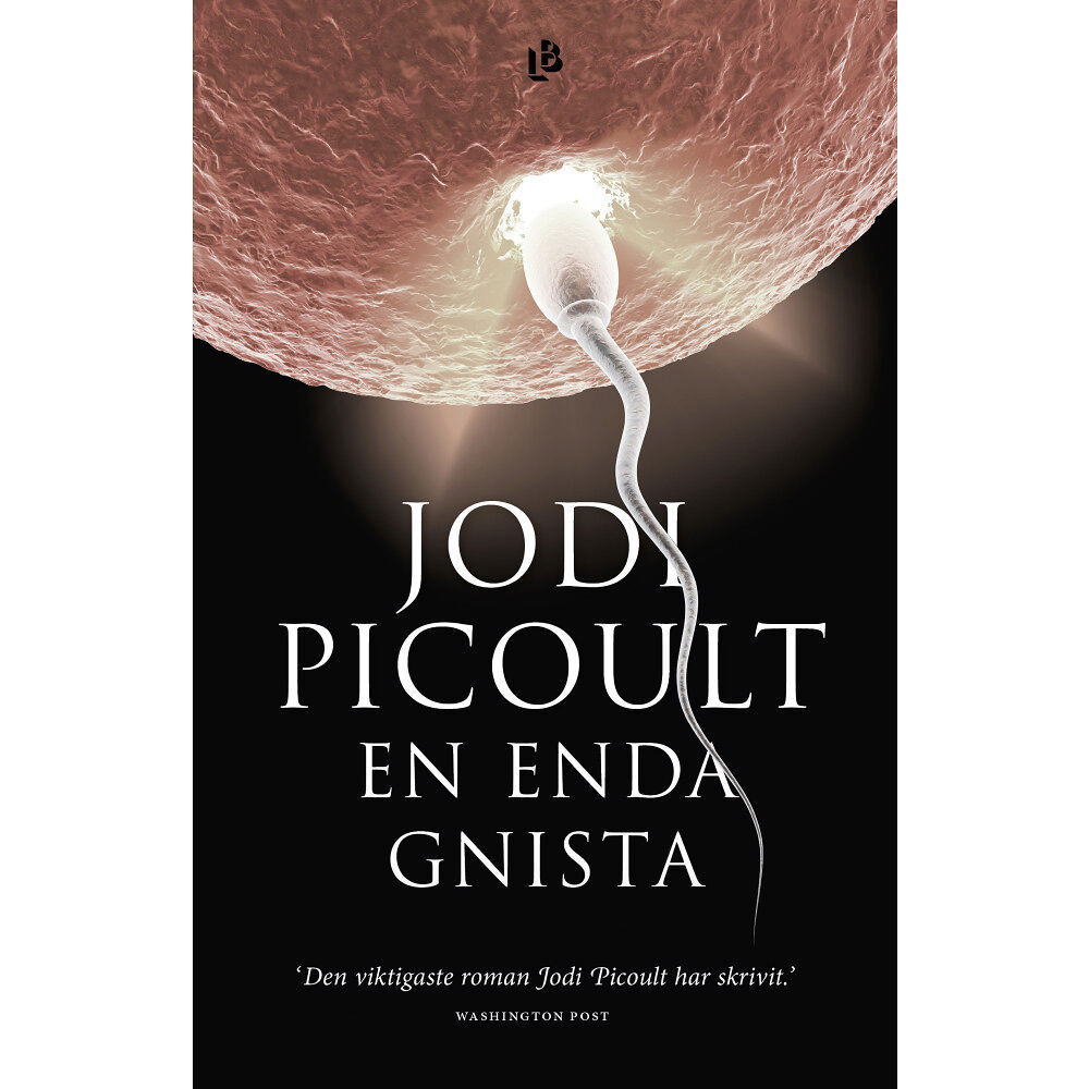 Jodi Picoult En enda gnista (inbunden)