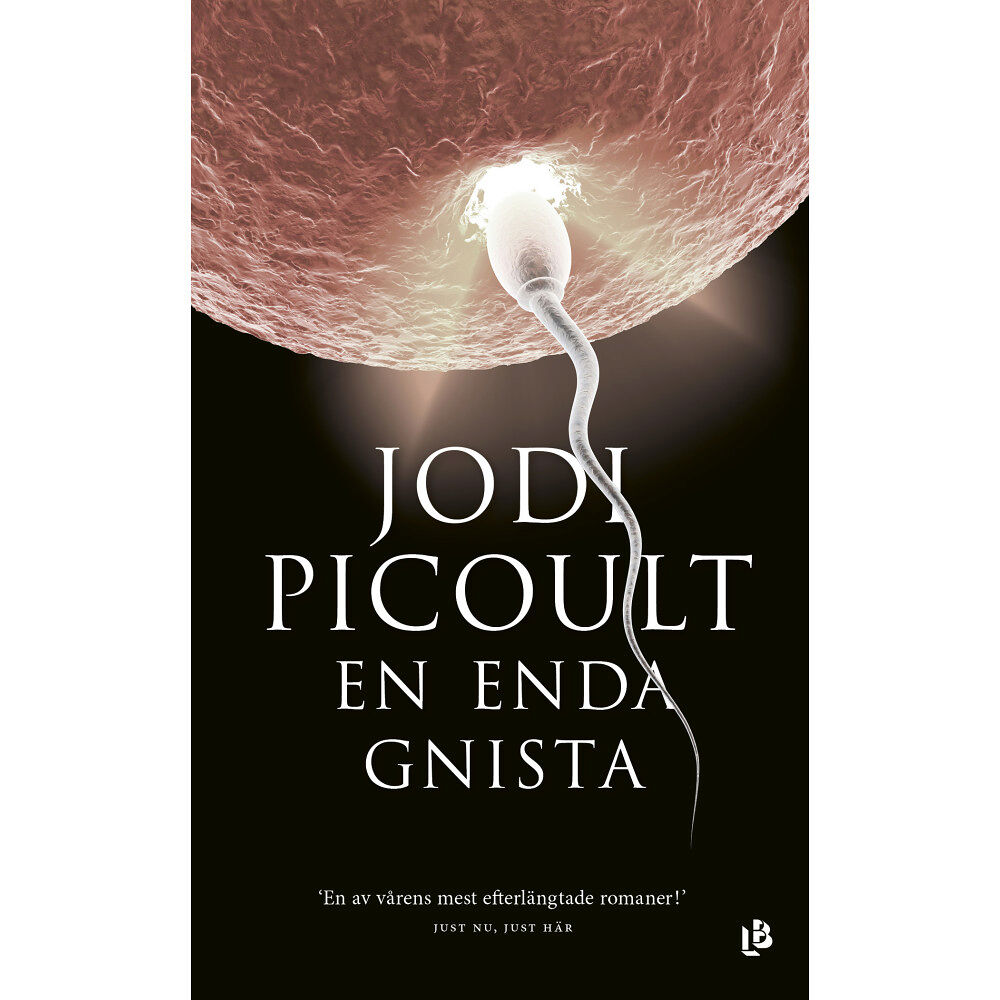 Jodi Picoult En enda gnista (pocket)