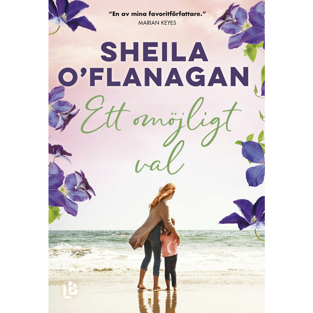 Sheila O'Flanagan Ett omöjligt val (bok, danskt band)