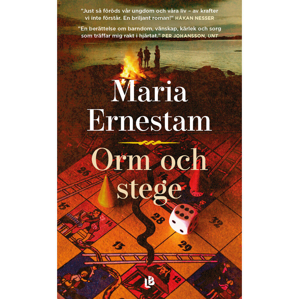 Maria Ernestam Orm och stege (pocket)