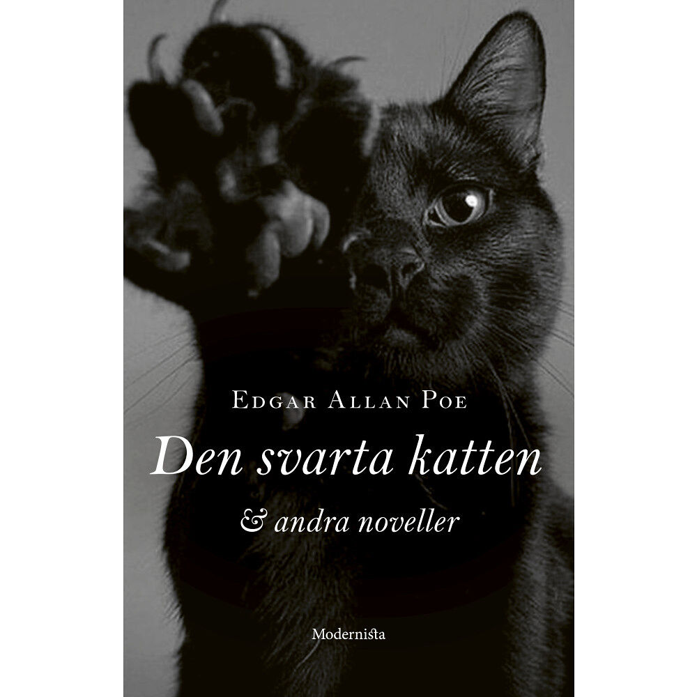 Edgar Allan Poe Den svarta katten och andra noveller (inbunden)