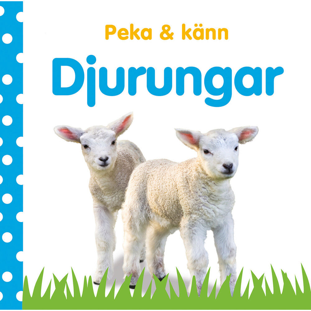 Dawn Sirett Peka & känn. Djurungar (bok, board book)