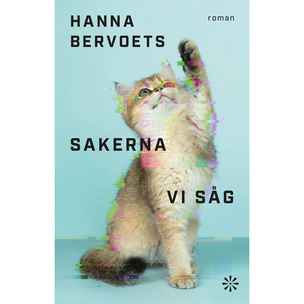 Hanna Bervoets Sakerna vi såg (inbunden)