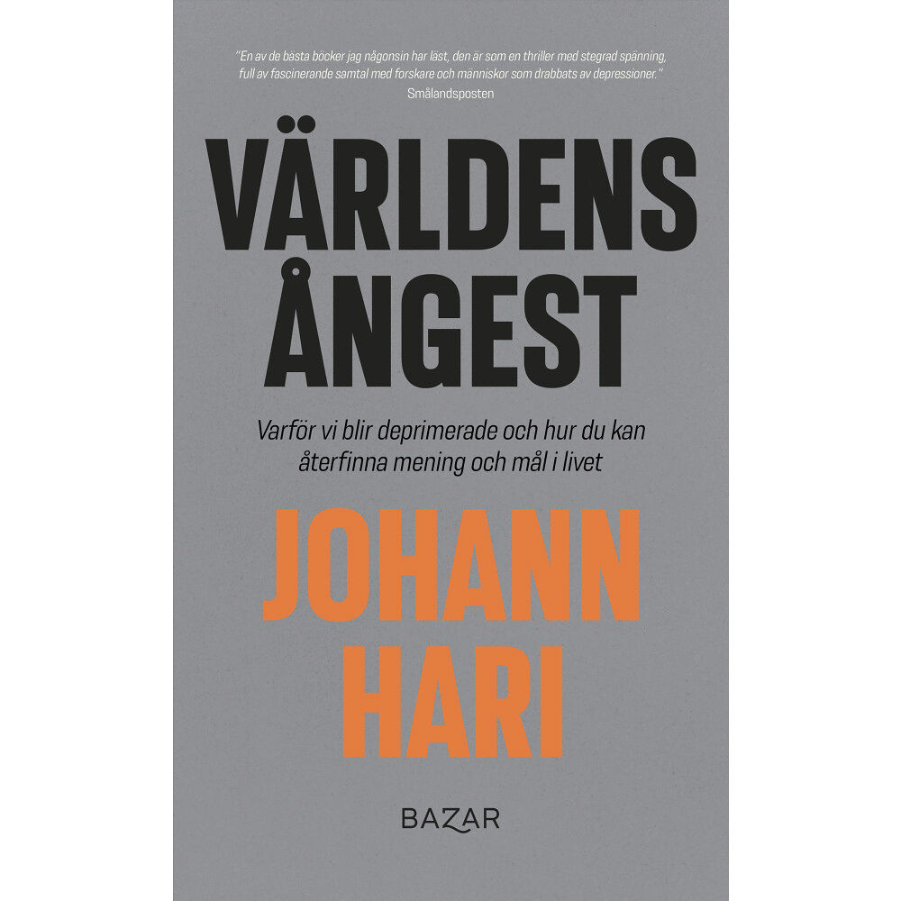 Bazar Förlag Världens ångest : Varför vi blir deprimerade och hur du kan återfinna mening och mål i livet (bok, storpocket)