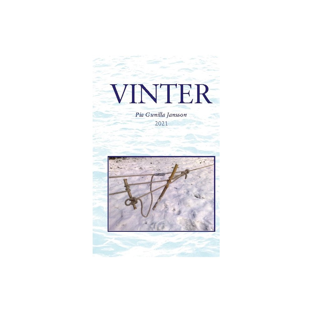 Pia Gunilla Jansson Vinter (häftad)