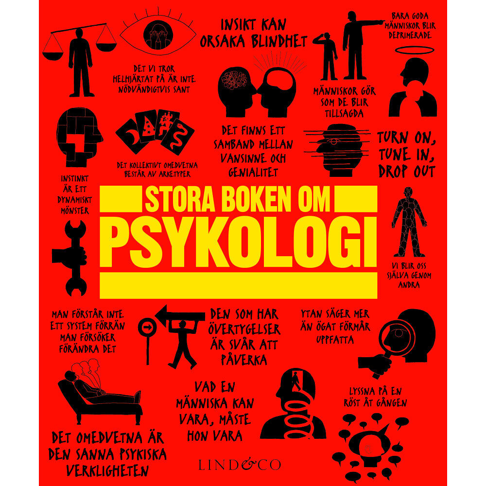 Lind & Co Stora boken om psykologi (inbunden)