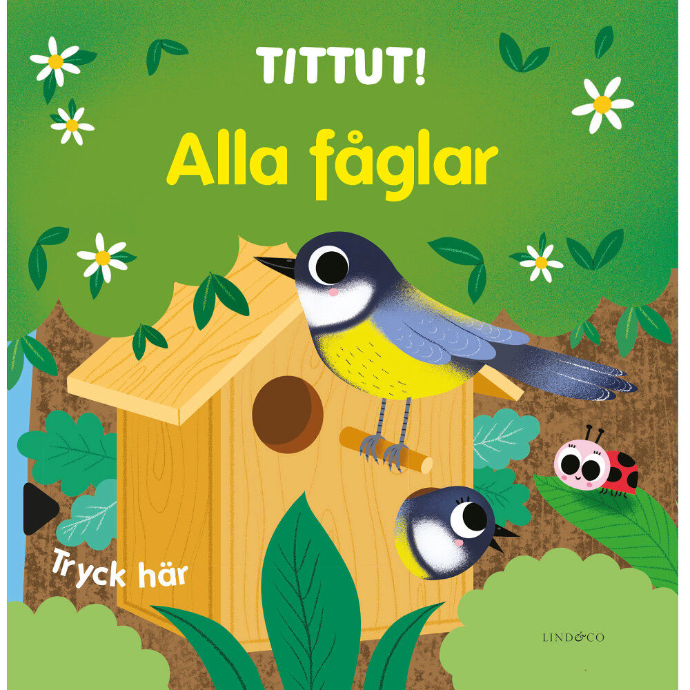 Lind & Co Tittut! Alla fåglar (bok, board book)