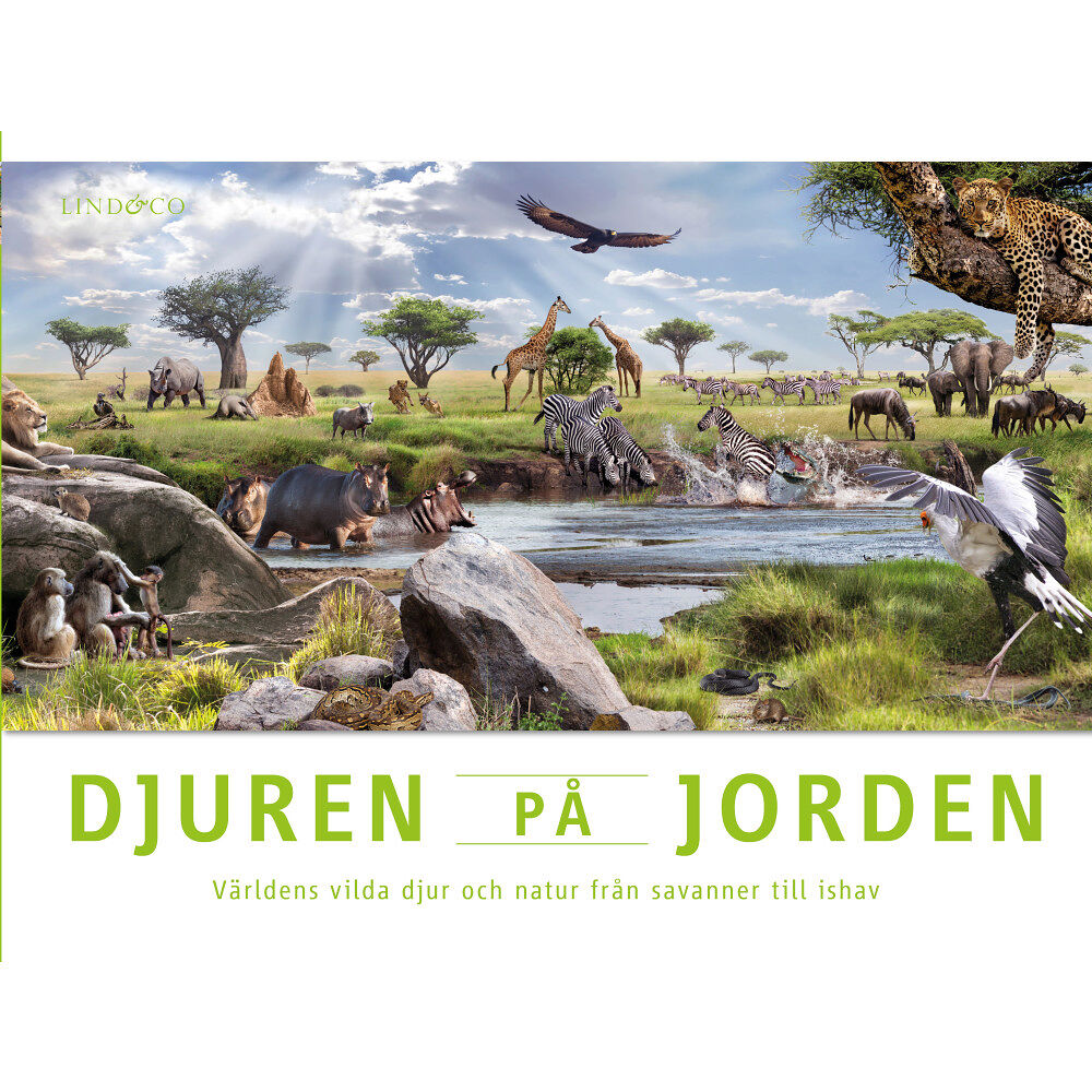 John Woodward Djuren på jorden : världens vilda djur och natur från savanner till ishav (inbunden)