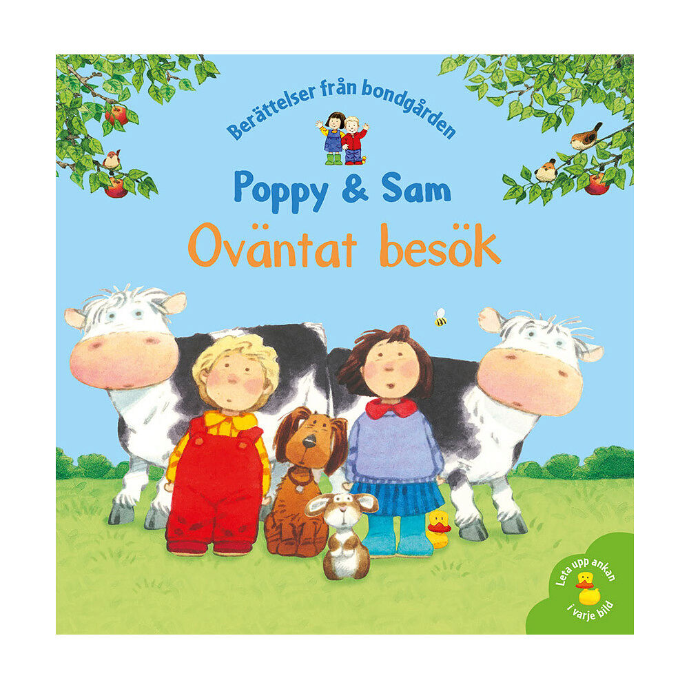 Heather Amery Oväntat besök (inbunden)