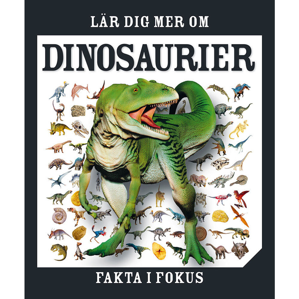 Tukan Förlag Lär dig mer om dinosaurier (inbunden)