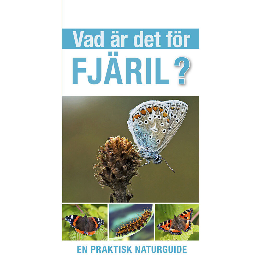 Tom Jackson Vad är det för fjäril? (häftad)