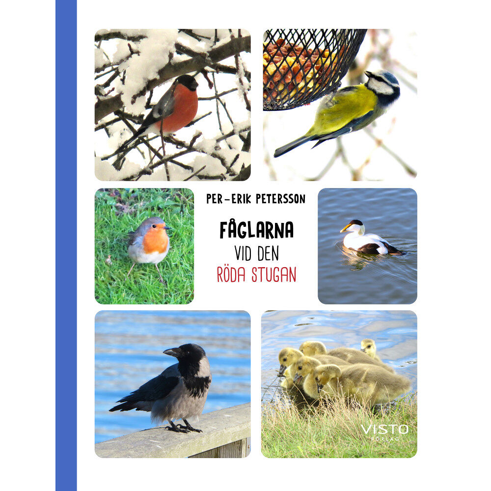 Per-Erik Petersson Fåglarna vid den röda stugan (inbunden)