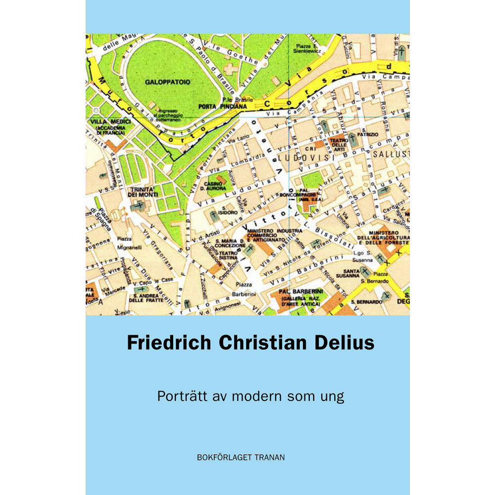 Friedrich Christian Delius Porträtt av modern som ung (bok, danskt band)
