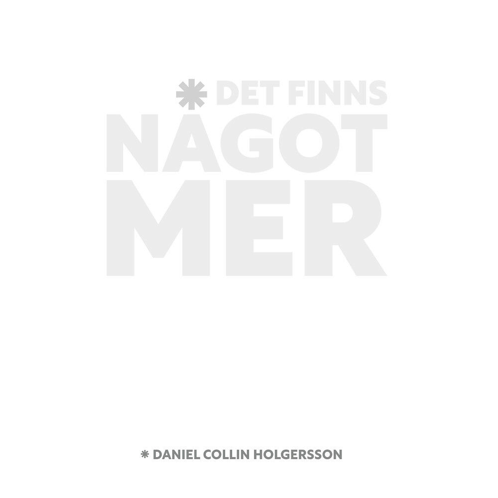 Daniel Collin Holgersson Det finns något mer (häftad)