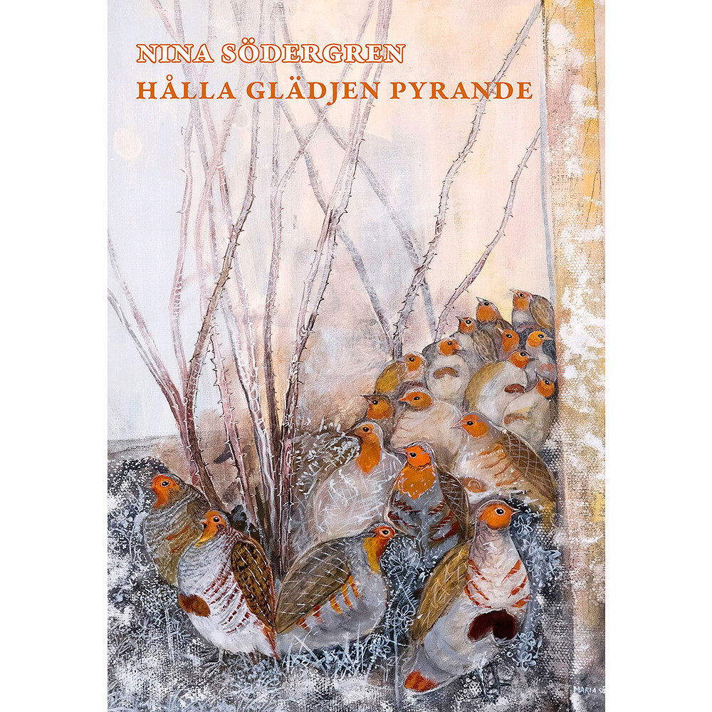 Nina Södergren Hålla glädjen pyrande (häftad)