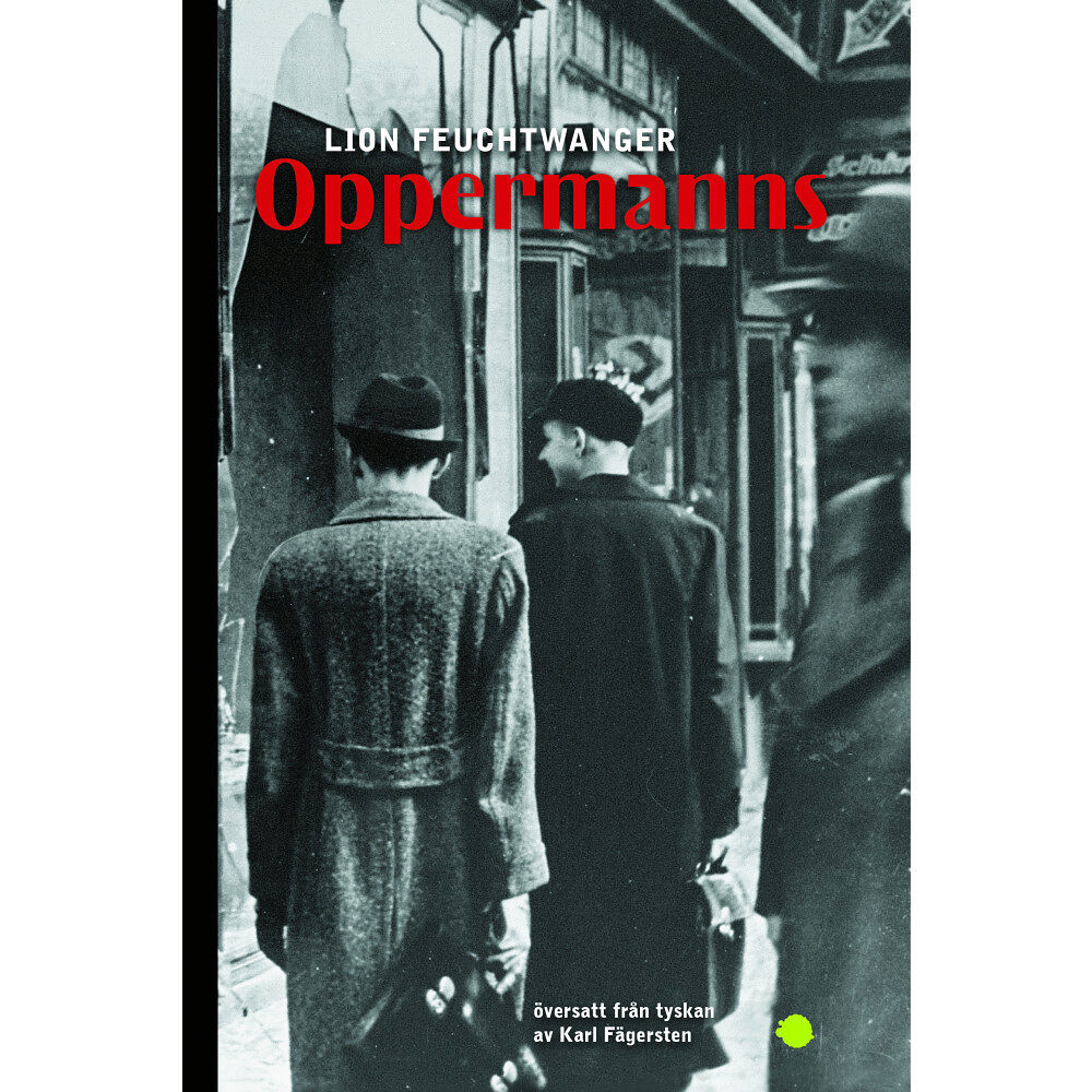 Lion Feuchtwanger Oppermanns (bok, flexband)