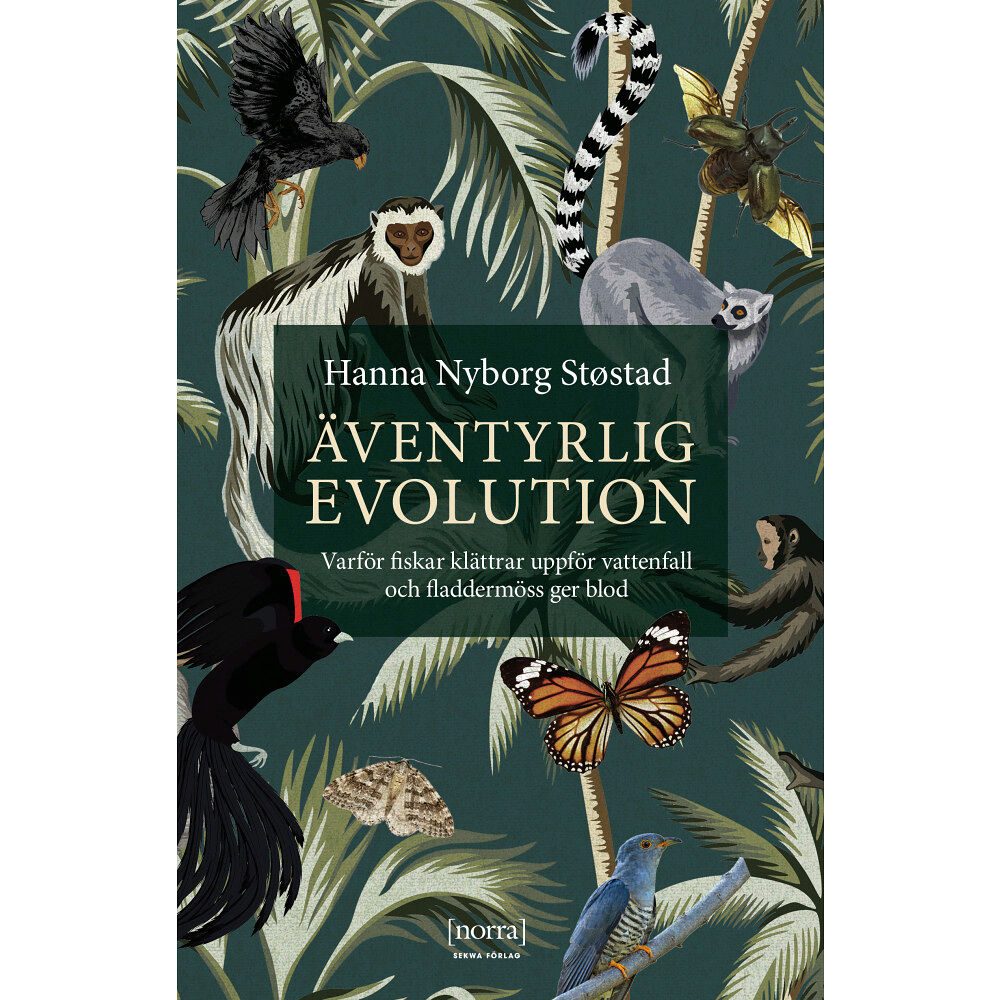Hanna Nyborg Støstad Äventyrlig evolution : varför fiskar klättrar uppför vattenfall och fladdermöss ger blod (inbunden)