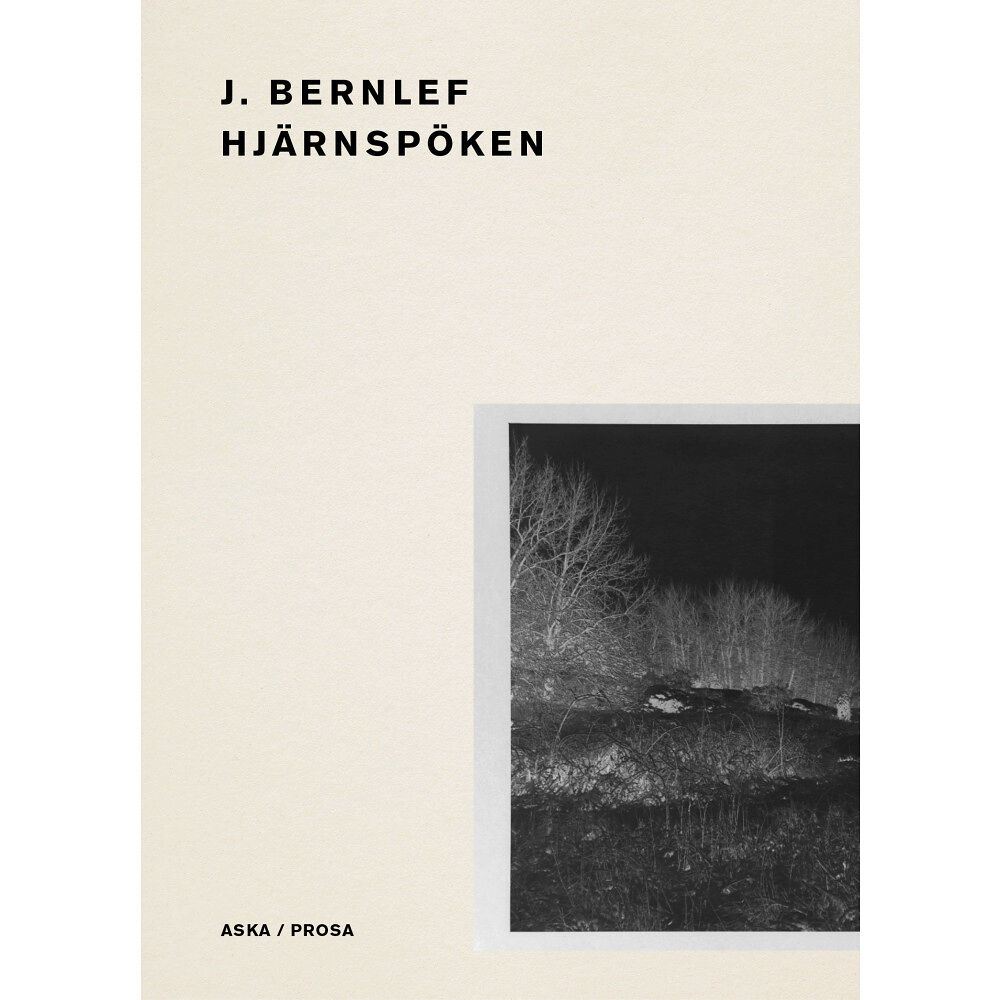 J. Bernlef Hjärnspöken (bok, danskt band)