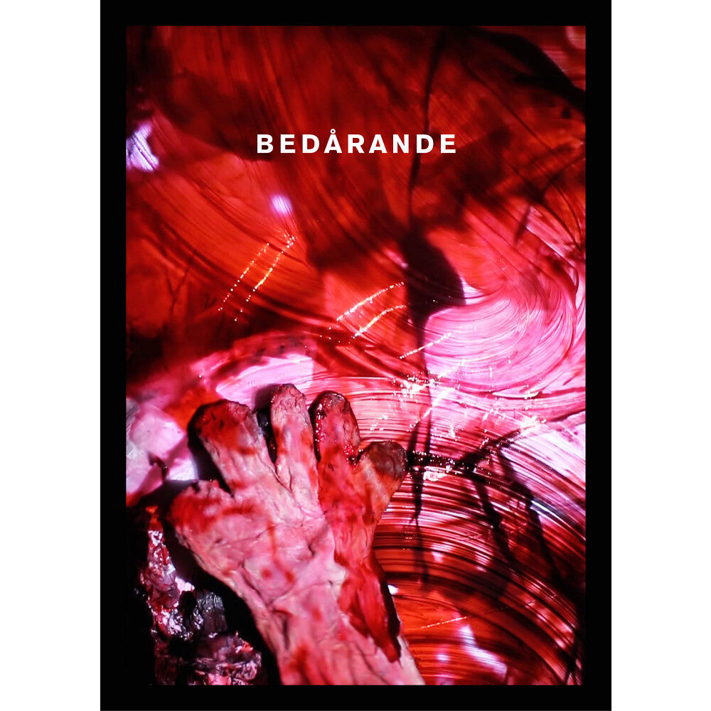 Ida Marie Hede Bedårande (bok, danskt band)