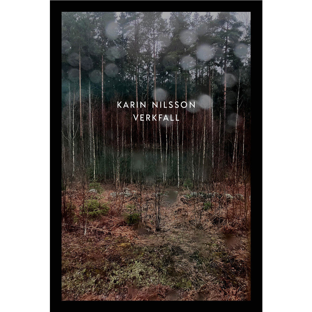 Karin Nilsson Verkfall (häftad)