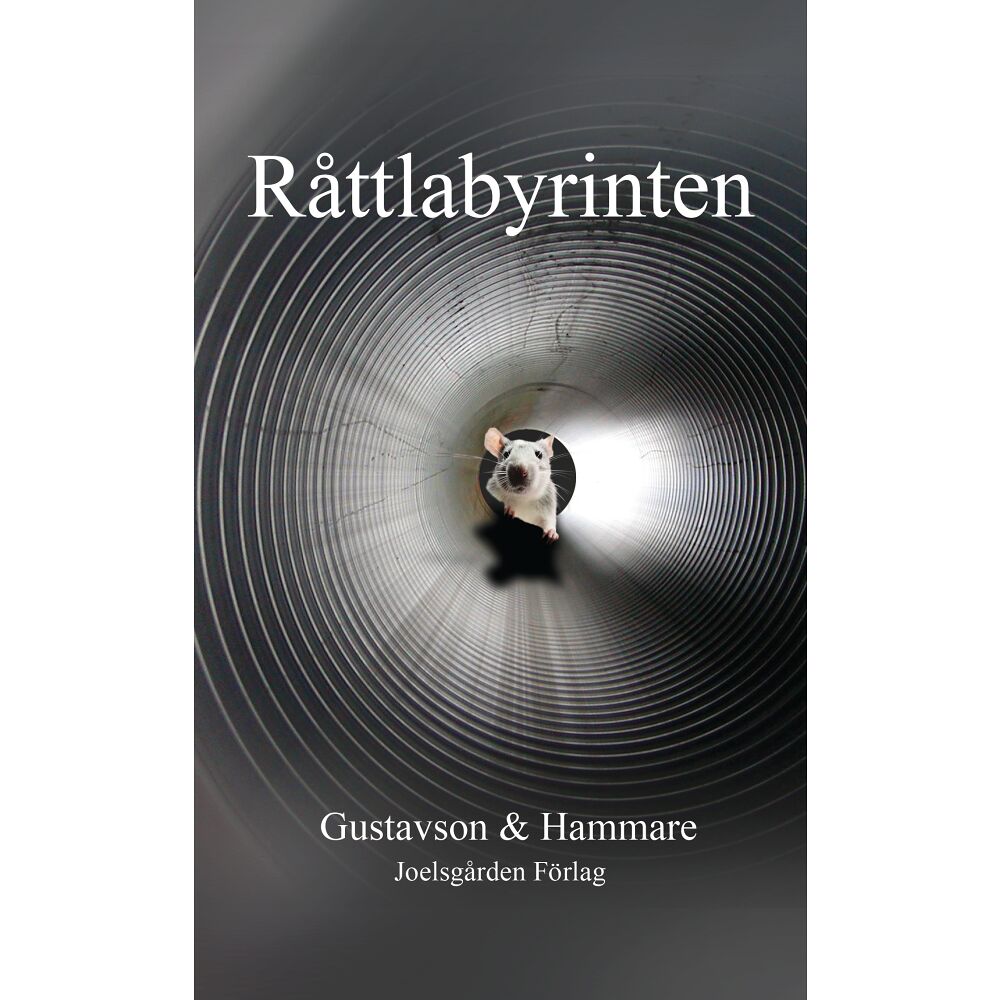 Christina Gustavson Råttlabyrinten (häftad)