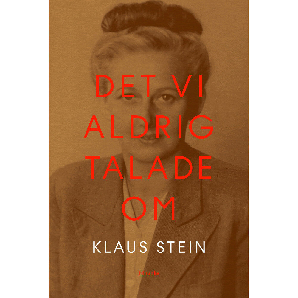Klaus Stein Det vi aldrig talade om (inbunden)