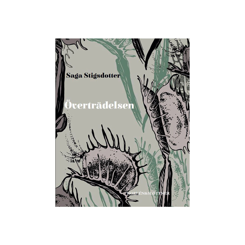 Saga Stigsdotter Överträdelsen (bok, kartonnage)