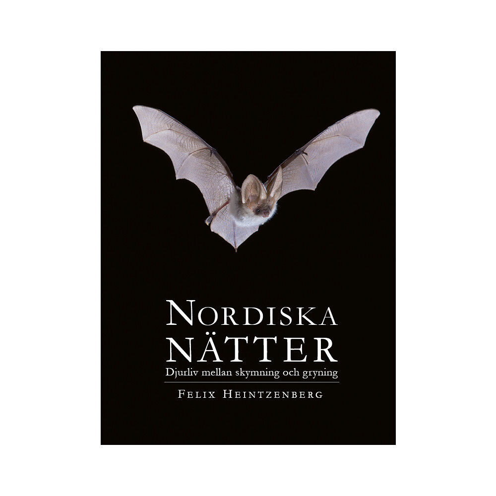 Felix Heintzenberg Nordiska Nätter : djurliv mellan skymning och gryning (inbunden)