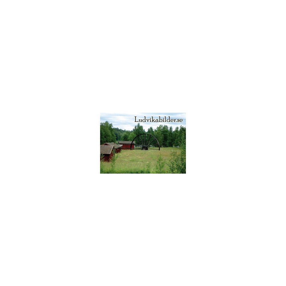 Globe Bokhandel AB förlag Ludvikabilder .se (inbunden)