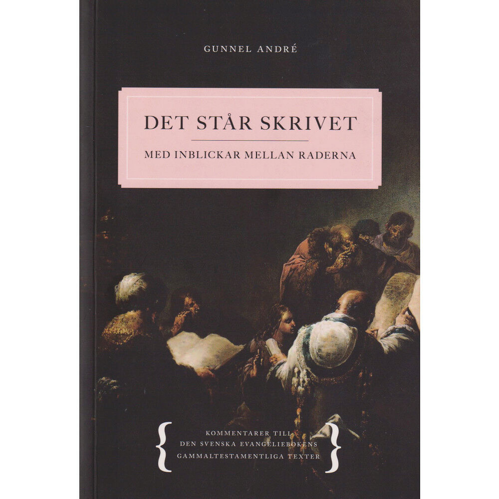Gunnel André Det står skrivet : med inblickar mellan raderna - Kommentarer till den svenska evangeliebokens gammaltestamentliga texte...