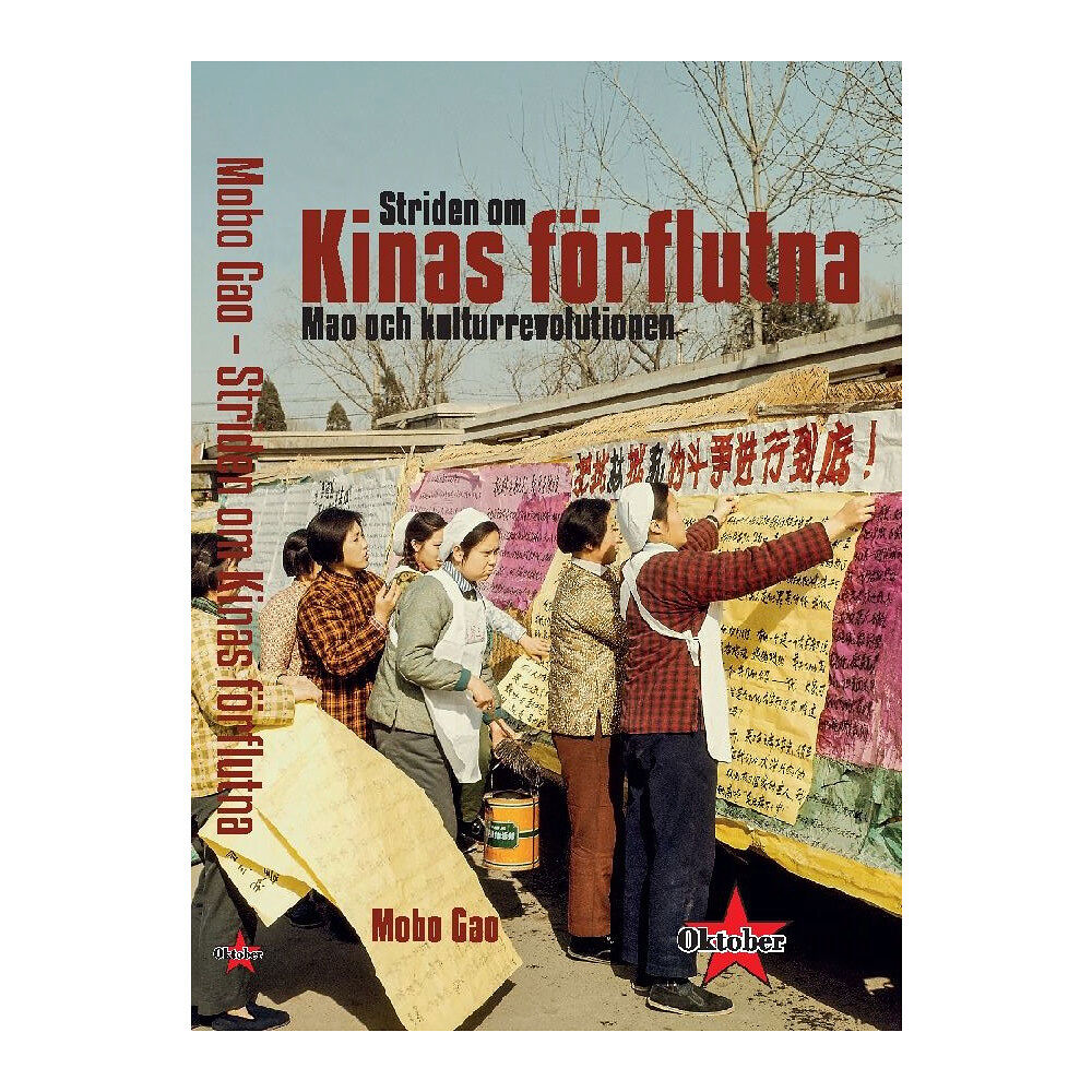 Mobo Gao Striden om Kinas förflutna (häftad)