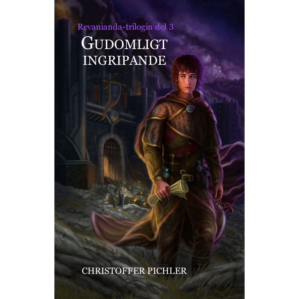 Christoffer Pichler Gudomligt ingripande (pocket)
