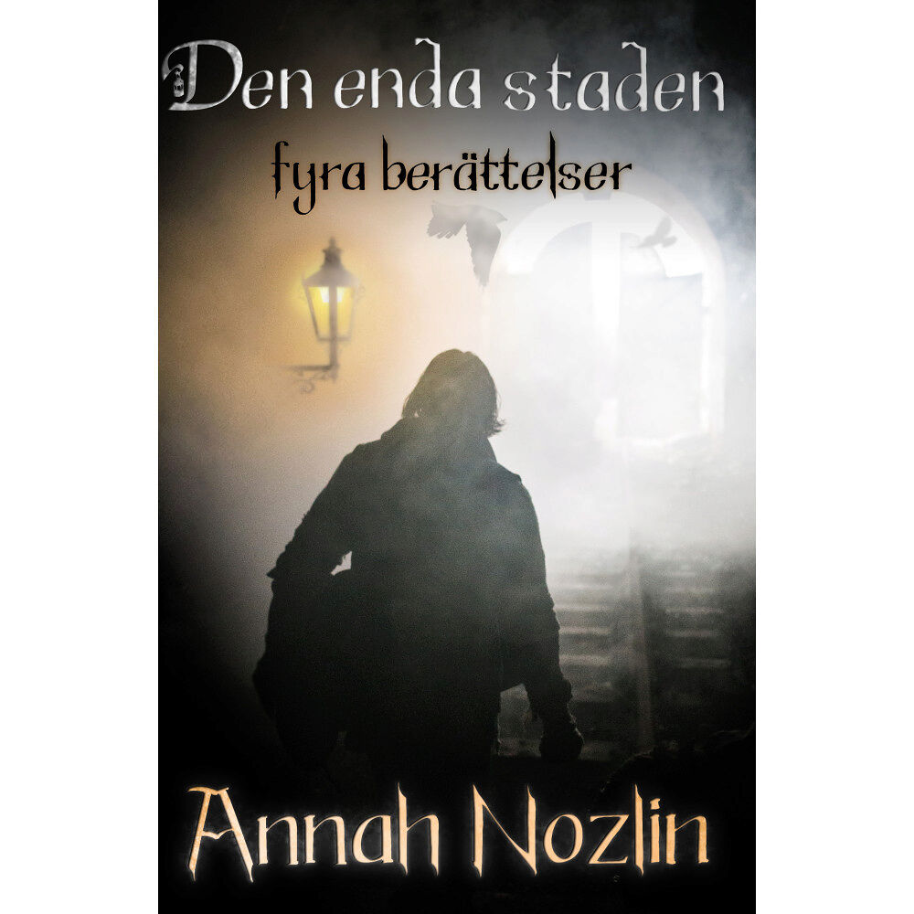 Annah Nozlin Den enda staden : fyra berättelser (häftad)