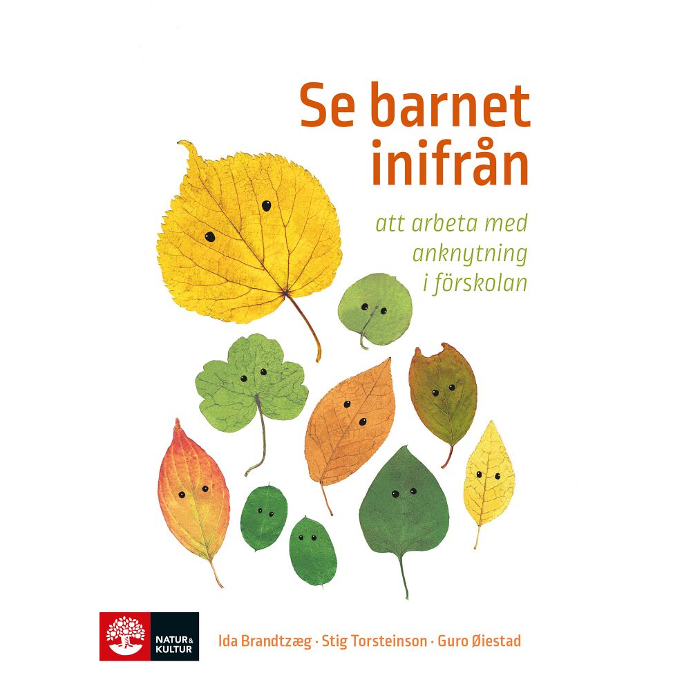 Ida Brandtzaeg Se barnet inifrån : att arbeta med anknytning i förskolan (bok, danskt band)