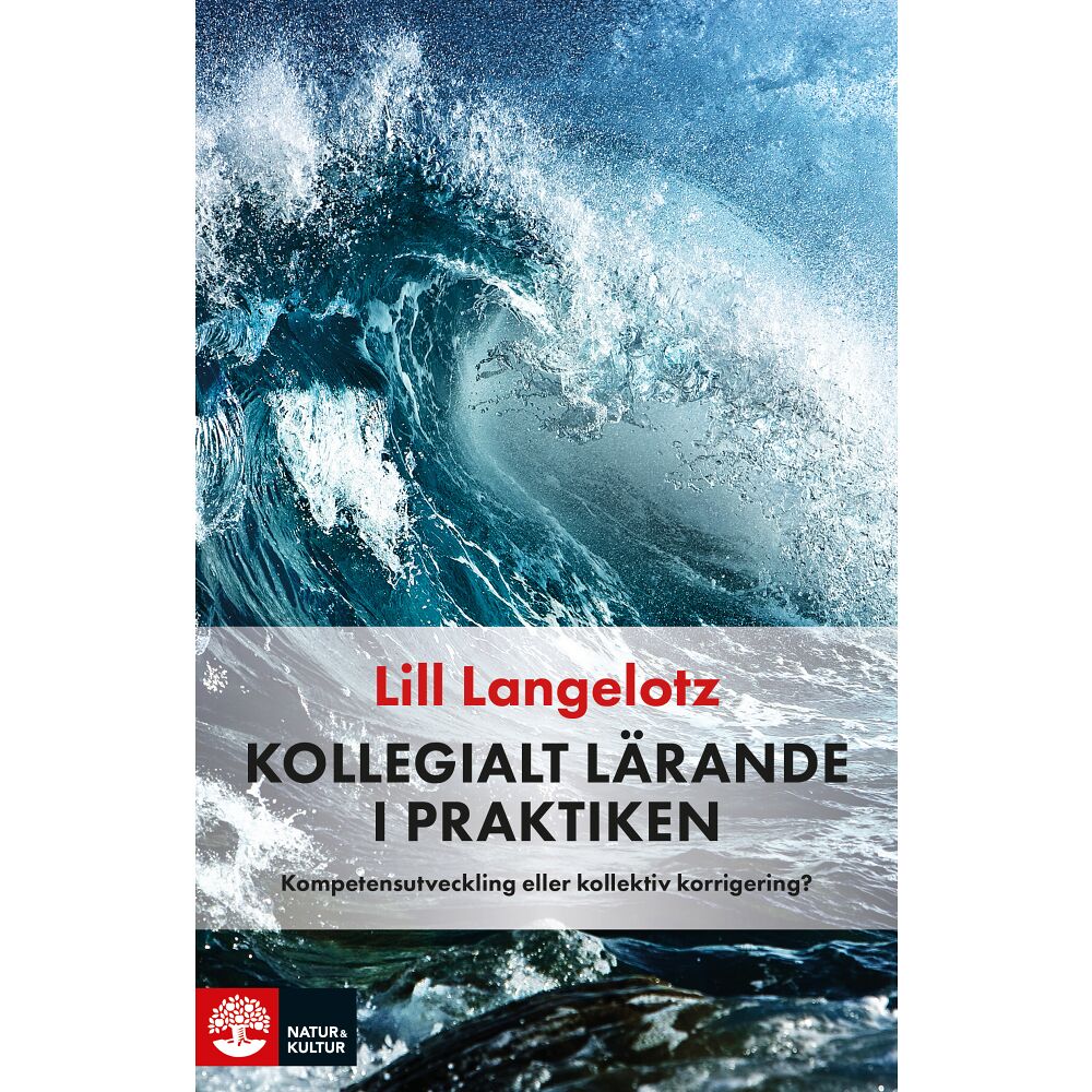 Lill Langelotz Kollegialt lärande i praktiken : kompetensutveckling eller kollektiv korrigering? (häftad)