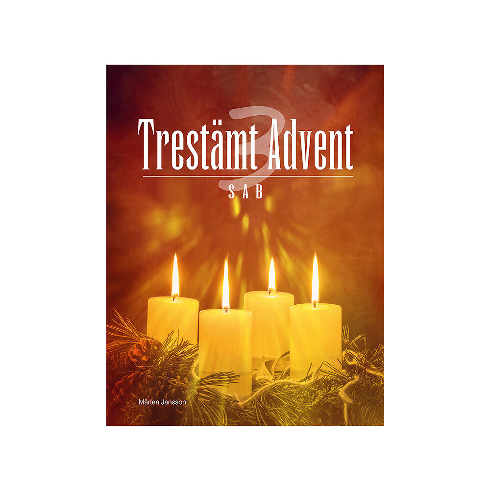 Notfabriken Trestämt Advent SAB (häftad)