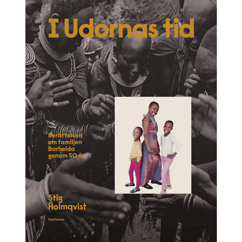 Stig Holmqvist I Udornas tid : berättelsen om familjen Barheida genom 50 år (inbunden)