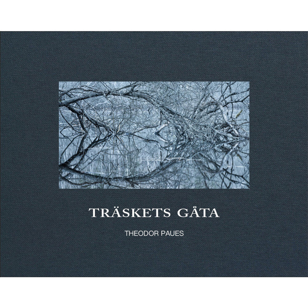 Theodor Paues Träskets gåta (bok, klotband)