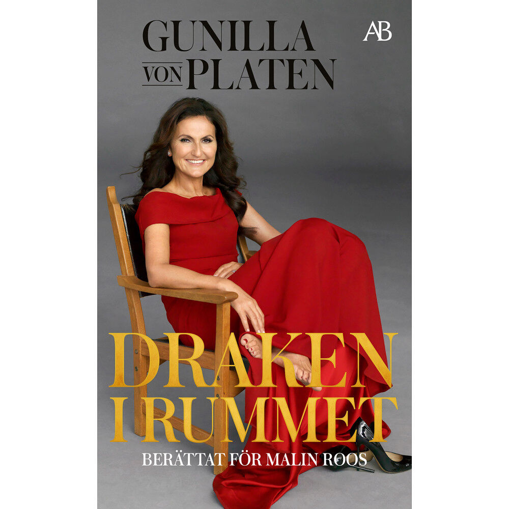 Gunilla von Platen Draken i rummet (pocket)