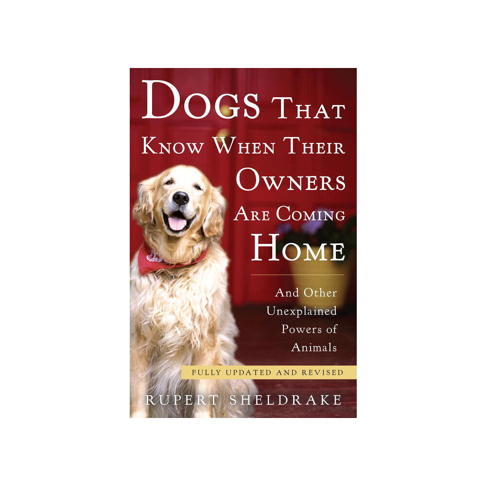 Rupert Sheldrake Dogs That Know When Their Owners Are Coming Home (häftad, eng)