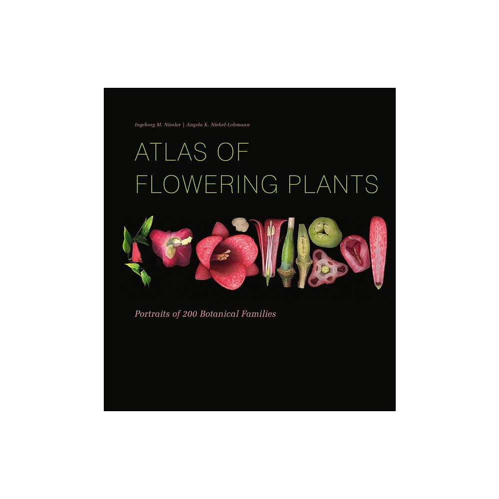 Ingeborg M Niesler Atlas Of Flowering Plants (inbunden, eng)