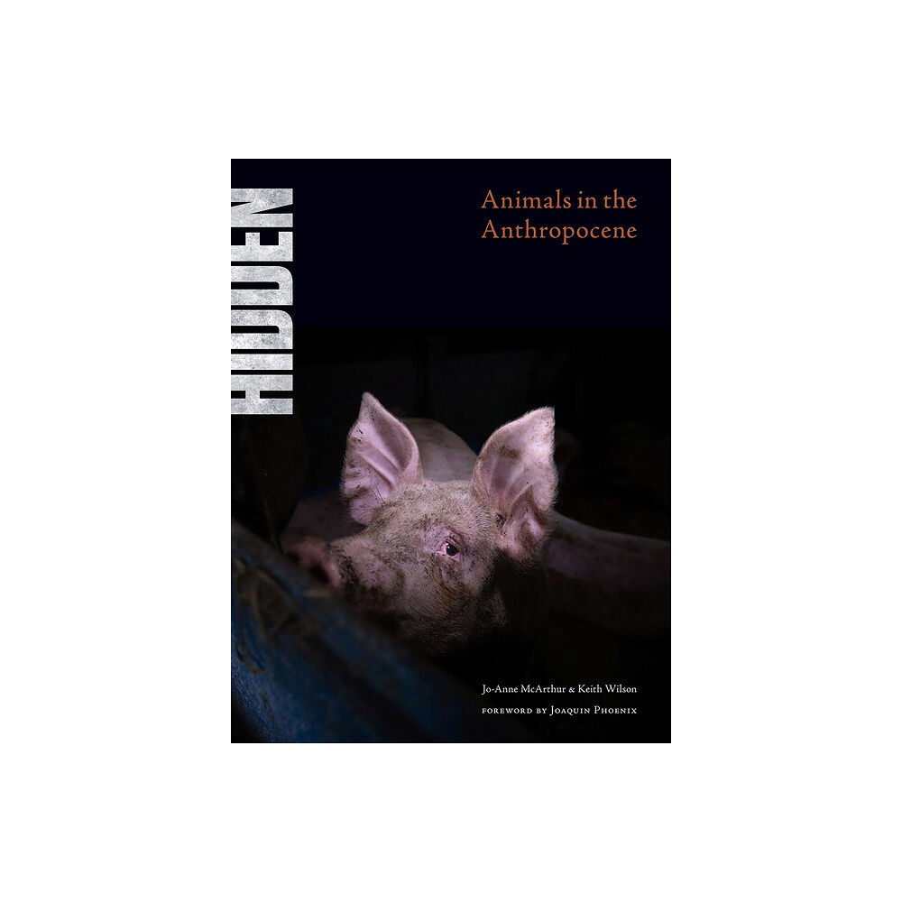 Lantern Books Hidden : Animals in the Anthropocene (inbunden, eng)