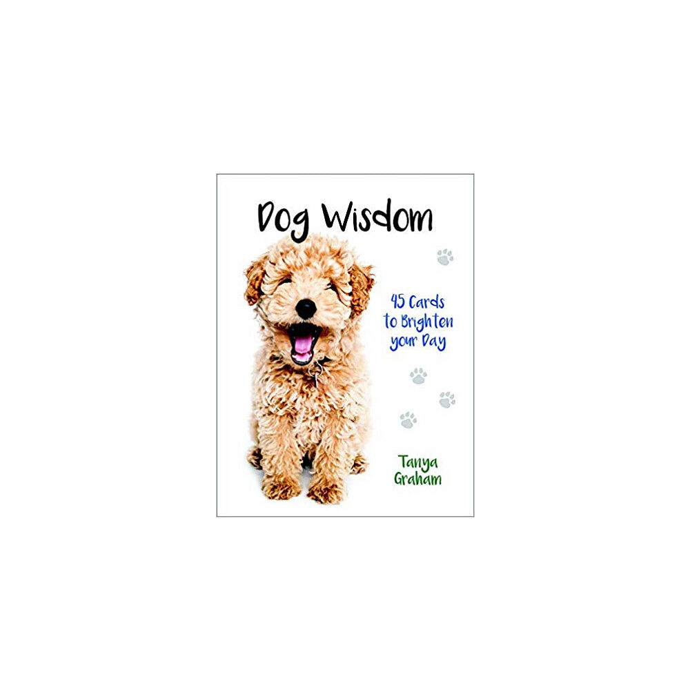 Blue Angel Publishing Dog Wisdom Cards New Edition