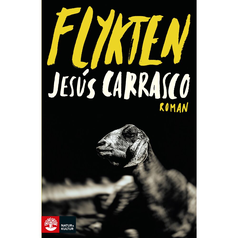 Jesús Carrasco Flykten (pocket)
