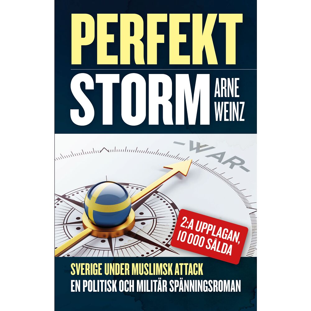 Arne Weinz Perfekt storm (bok, danskt band)