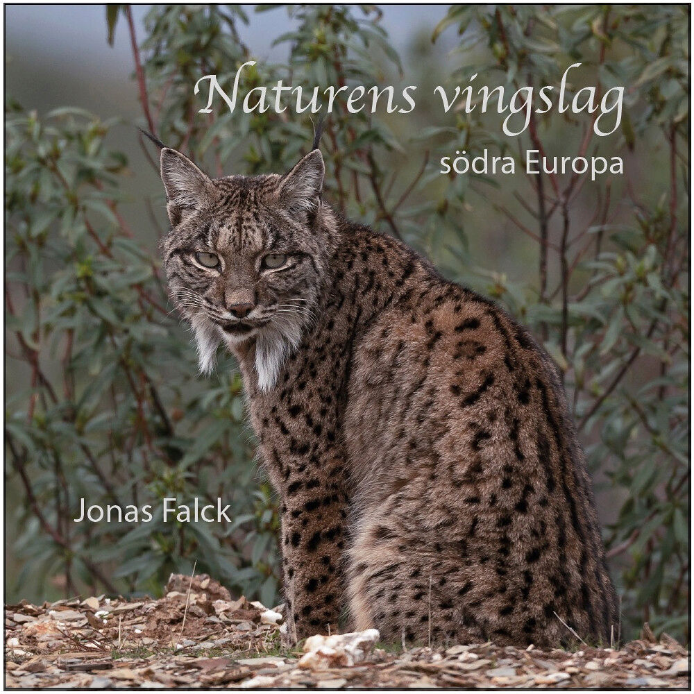 Jonas Falck Naturens vingslag : södra Europa (inbunden)