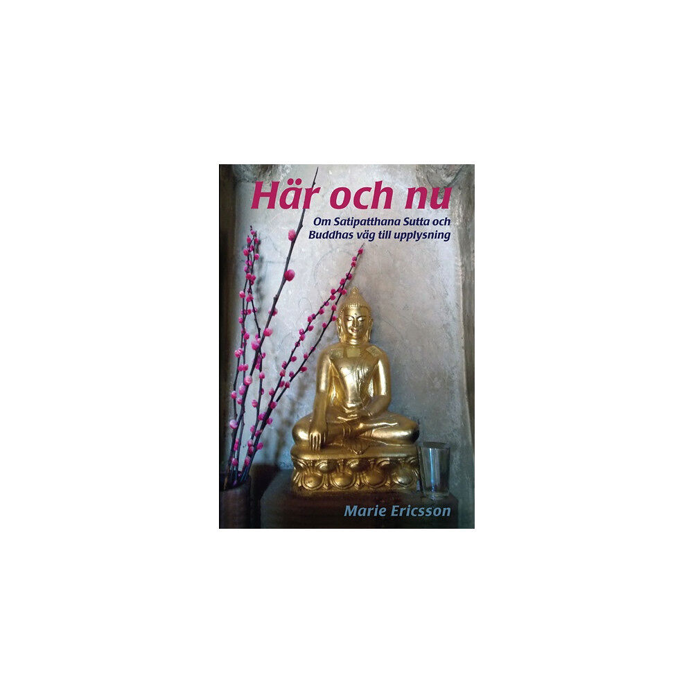 Marie Ericsson Här och nu : om Satipatthana Sutta och Buddhas väg till upplysning (häftad)